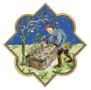 Special menu, vegetarian, vegan, allergic